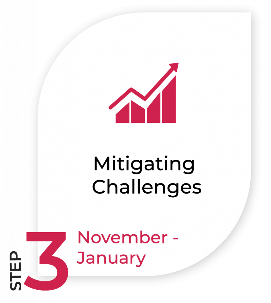 Image of Timeline step 3 - Mitigating Challenges