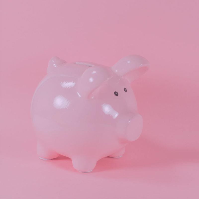 An image of a piggy bank
